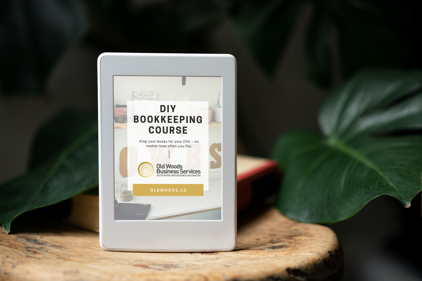 DIY Bookkeeping Course